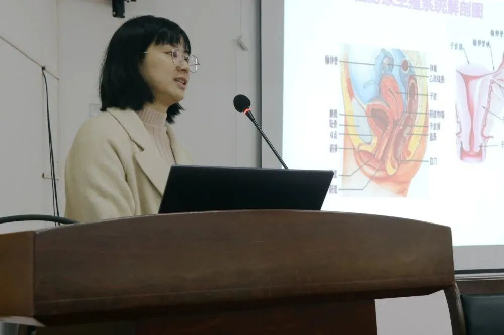 图片 6.png