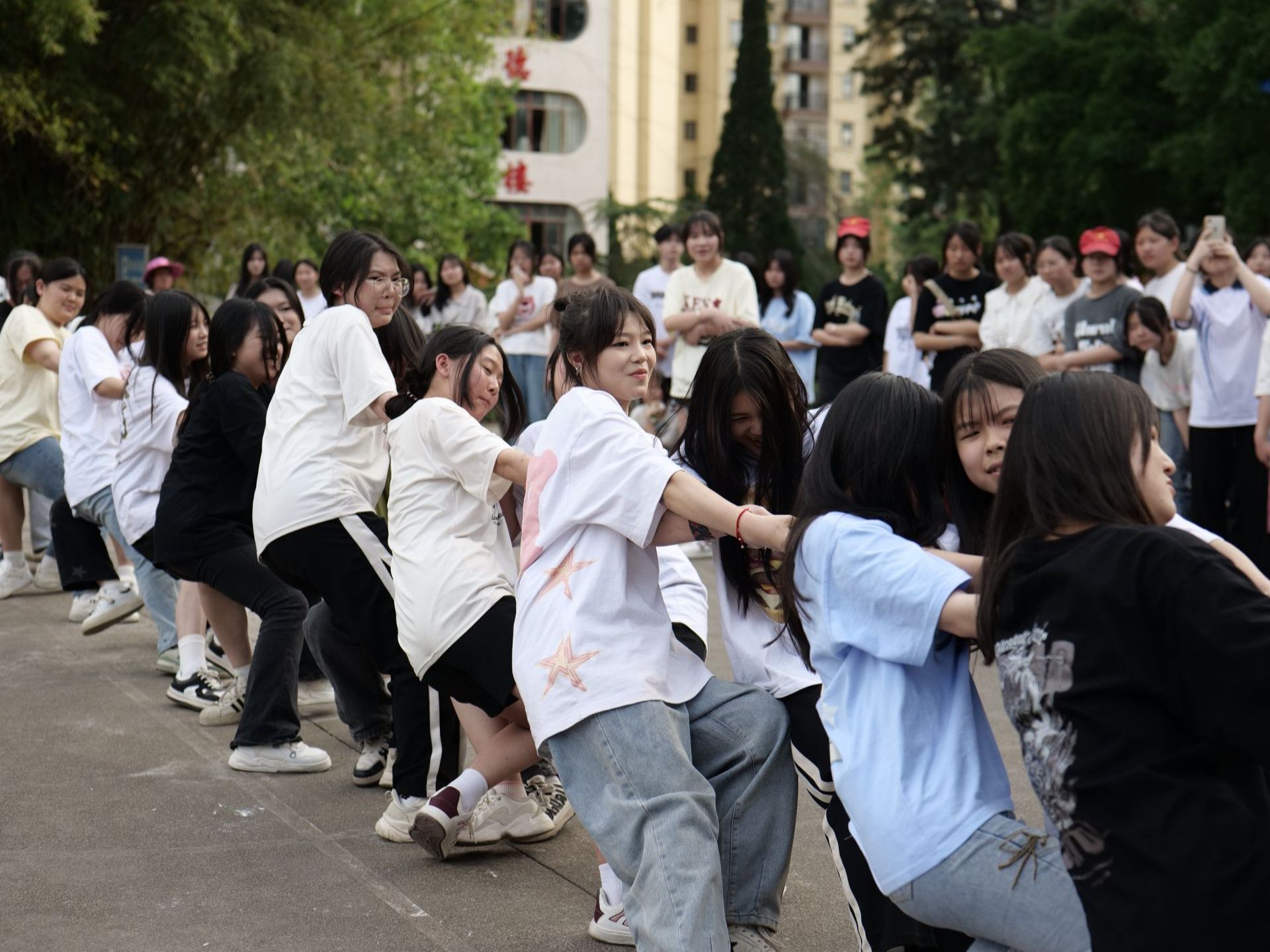 P1046643.jpg