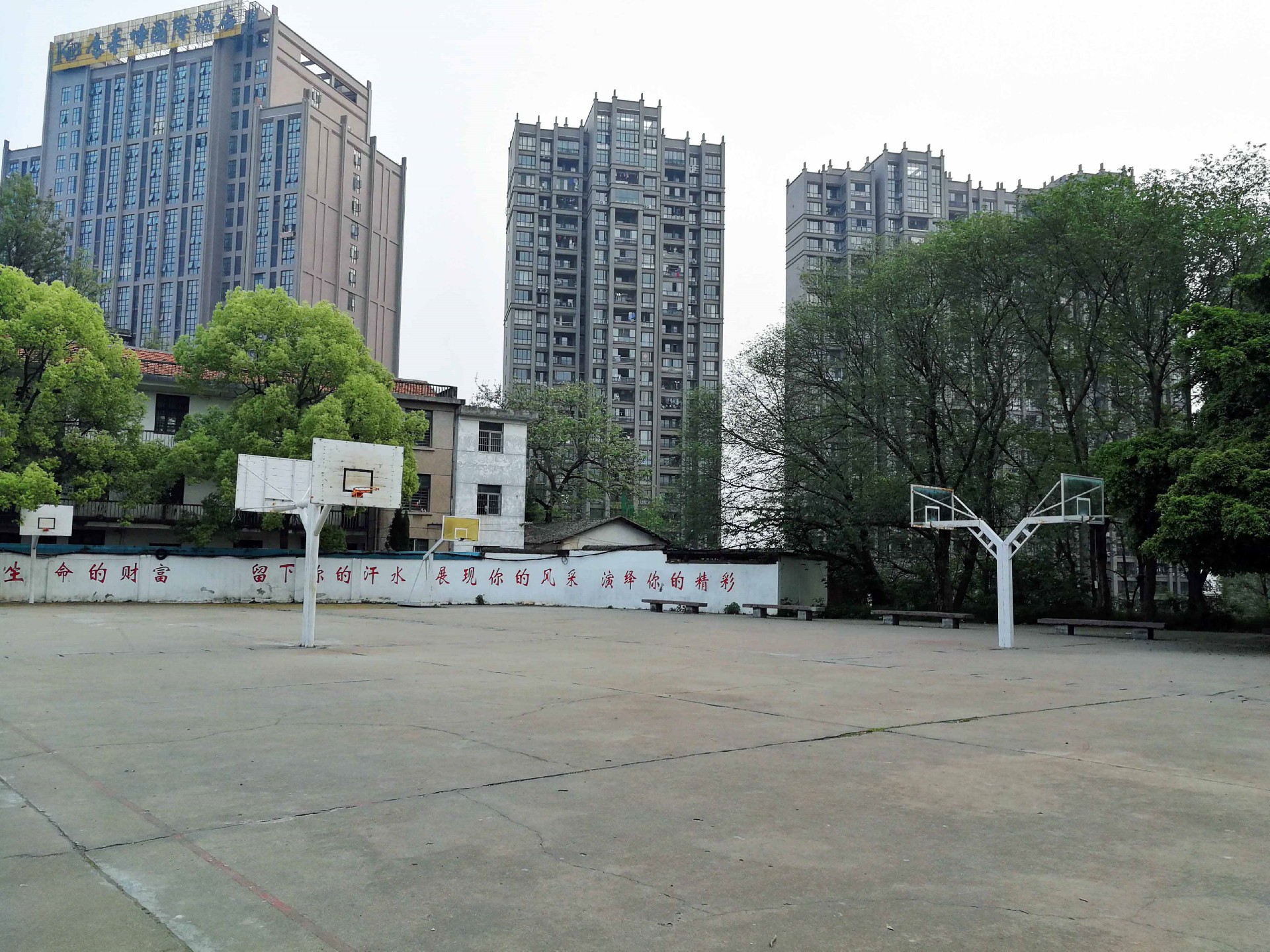 11..篮球场.jpg
